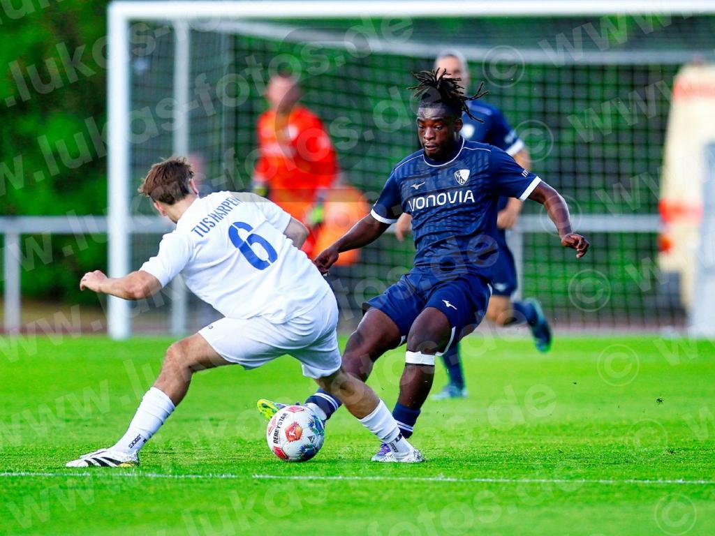 2025-07-03 Bamba VfL Bochum - TuS Harpen Foto Lukas (72)
